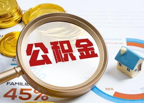 东丽2025年政策调整对个人影响综合解析‌